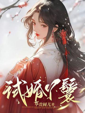 试婚丫鬟短剧锦鸢在线观看