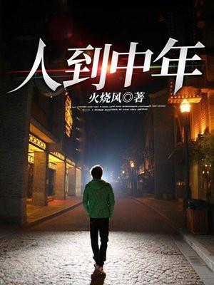 人到中年电视剧
