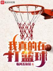 我真的在打篮球精校版