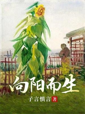 向阳而生什么意思